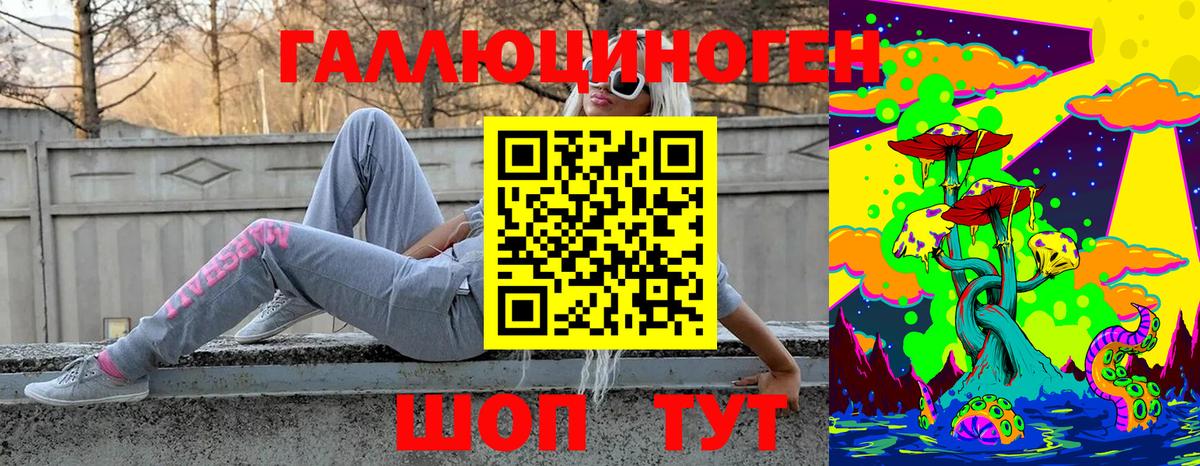 Галлюциногенные грибы Psilocybe  Псилоцибиновые грибы мицелий  Вход с VPN  Кулебаки 