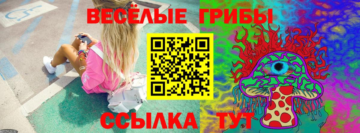 Галлюциногенные грибы прущие грибы Кулебаки